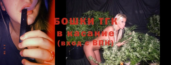 твердый Богданович