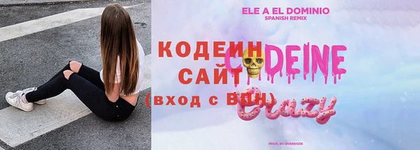 твердый Богданович