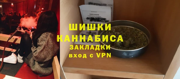 твердый Богданович