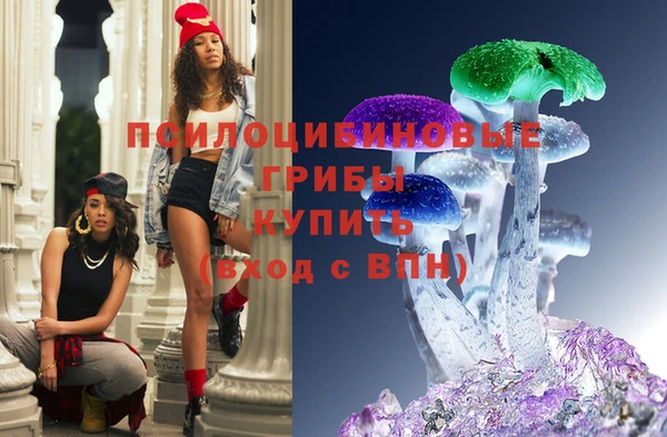 mix Богородск
