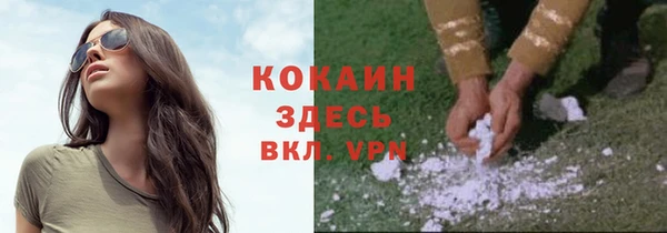 твердый Богданович