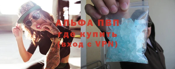 твердый Богданович