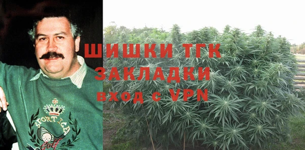 mix Богородск