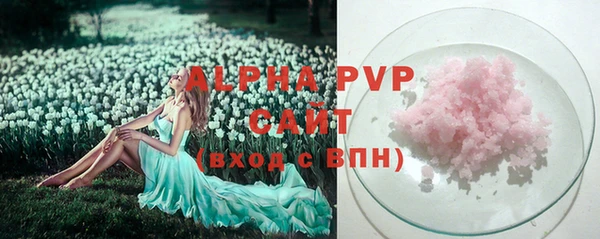 твердый Богданович